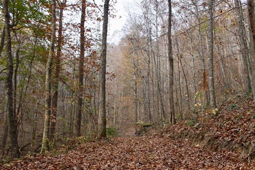 Autumn Ridge Tract 8
