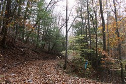 property photo for Autumn Ridge Tract 9, 12.47 acres for sale in Leslie County, Kentucky