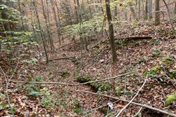 property photo for Autumn Ridge Tract 9, 12.47 acres for sale in Leslie County, Kentucky