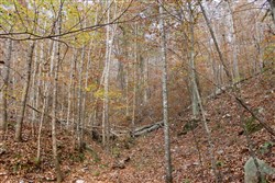 property photo for Autumn Ridge Tract 9, 12.47 acres for sale in Leslie County, Kentucky