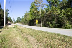 property photo for Black Oak Ranch Tract 1, 9.11 acres for sale in Rockcastle County, Kentucky