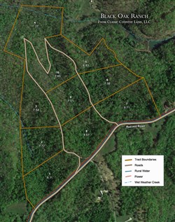 tract layout map for Black Oak Ranch Tract 1, 9.11 acres for sale in Rockcastle County, Kentucky