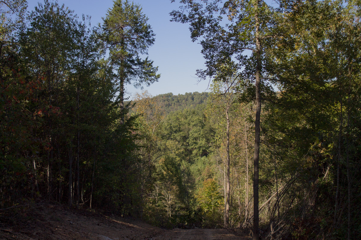 Tract 10 at Black Oak Ranch in Rockcastle County, Kentucky