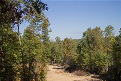 Black Oak Ranch Tract 2