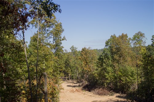 Black Oak Ranch Tract 2