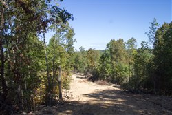 Black Oak Ranch Tract 2