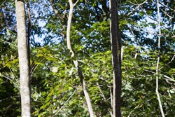 Black Oak Ranch Tract 2