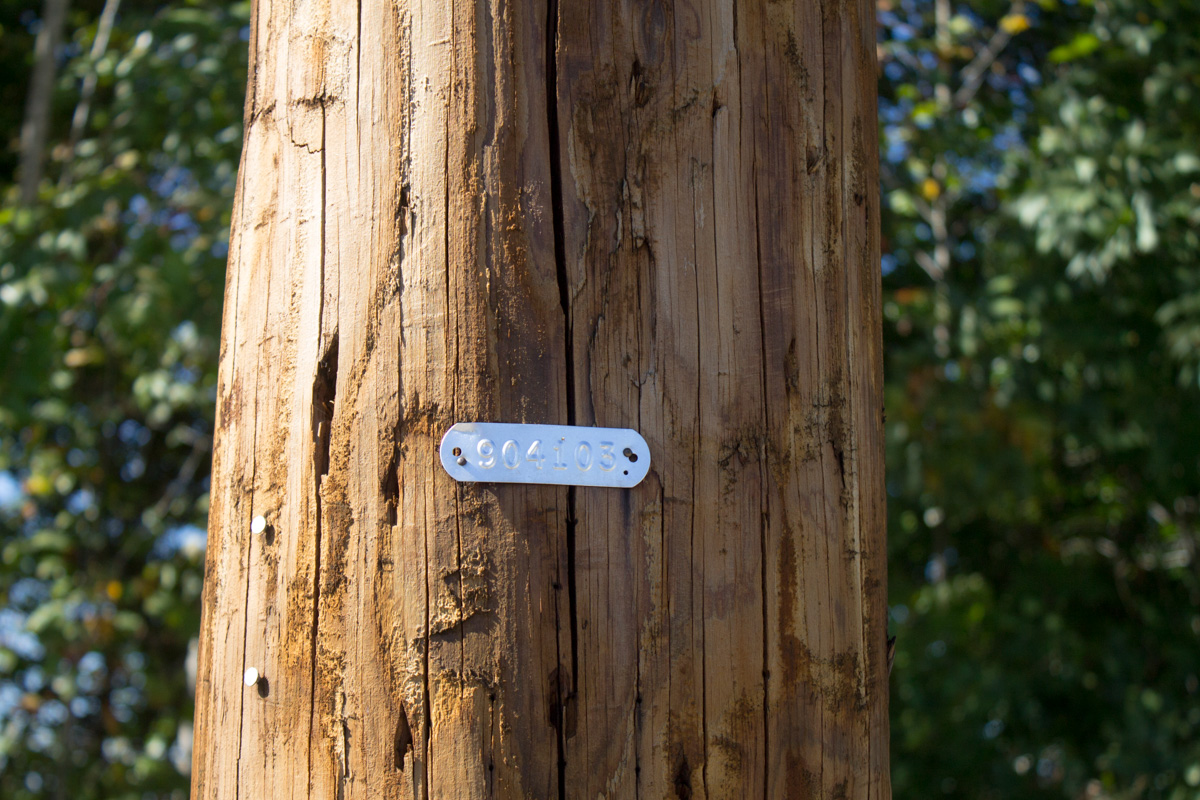 Tract 8 at Black Oak Ranch in Rockcastle County, Kentucky
