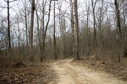 Chestnut Oak Ridge Tract 13