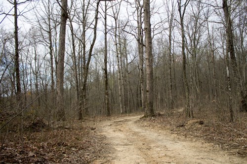 Chestnut Oak Ridge Tract 13