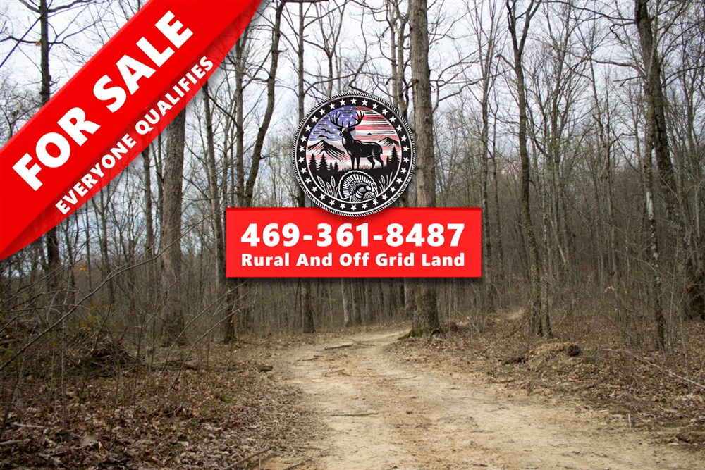 Chestnut Oak Ridge Tract 13 - Primary