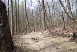 property photo for Chestnut Oak Ridge Tract 14, 13.03 acres for sale in Rockcastle County, Kentucky