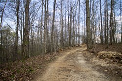 Chestnut Oak Ridge Tract 18