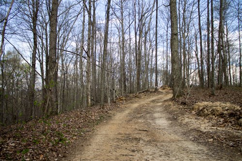 Chestnut Oak Ridge Tract 18