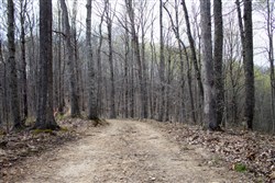 Chestnut Oak Ridge Tract 18