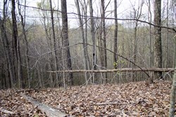 Chestnut Oak Ridge Tract 18