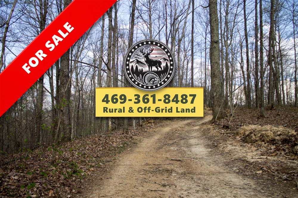 Chestnut Oak Ridge Tract 18 - Primary