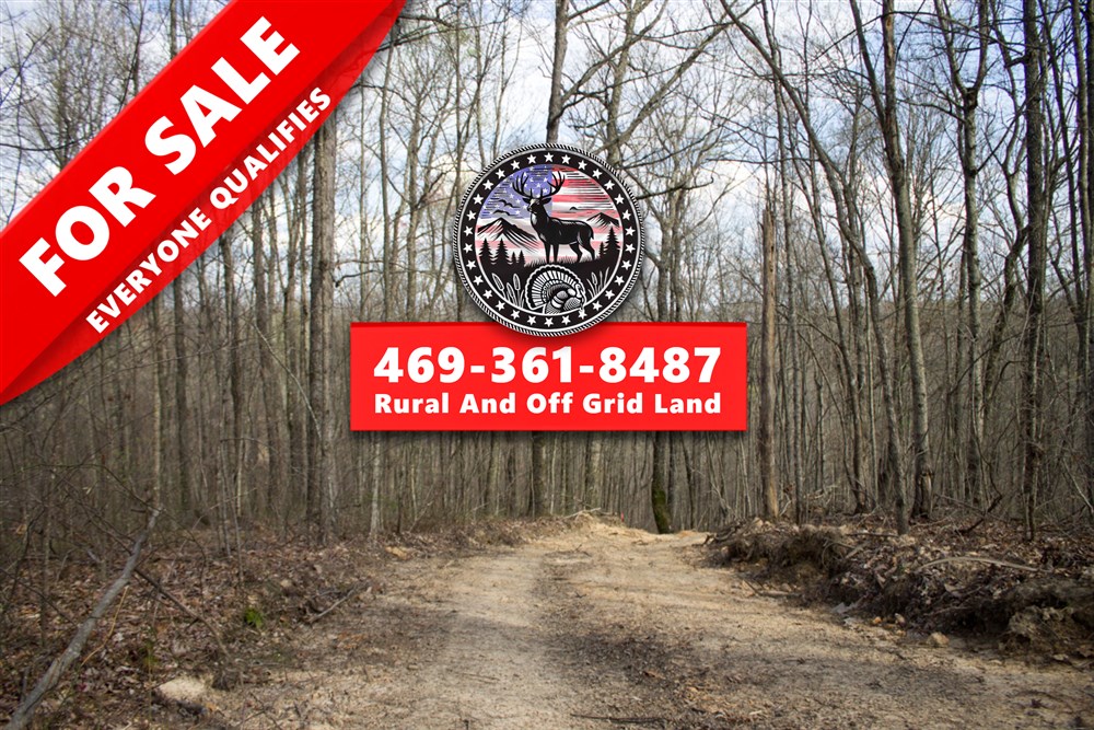 Chestnut Oak Ridge Tract 19 - Primary