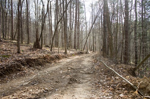 Chestnut Oak Ridge Tract 20