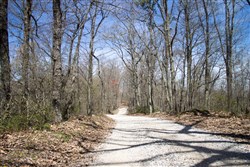 Chestnut Oak Ridge Tract 23
