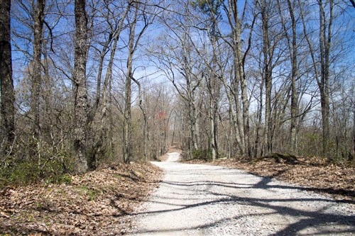 Chestnut Oak Ridge Tract 23