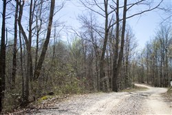 Chestnut Oak Ridge Tract 23