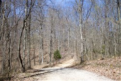 Chestnut Oak Ridge Tract 25