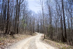 Chestnut Oak Ridge Tract 25
