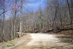 Chestnut Oak Ridge Tract 26