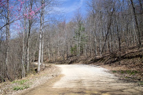 Chestnut Oak Ridge Tract 26