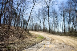 Chestnut Oak Ridge Tract 26