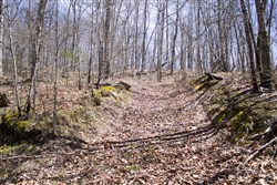 Chestnut Oak Ridge Tract 26