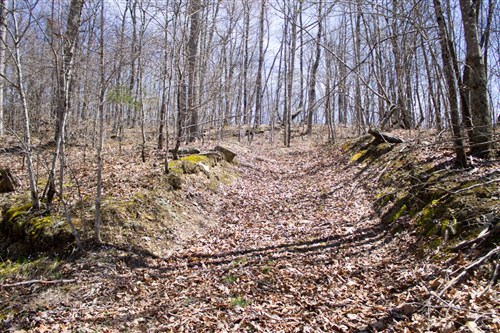Chestnut Oak Ridge Tract 26
