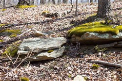 Chestnut Oak Ridge Tract 26