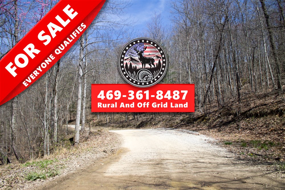 Chestnut Oak Ridge Tract 26 - Primary