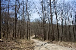 property photo for Chestnut Oak Ridge Tract 29, 8.08 acres for sale in Rockcastle County, Kentucky