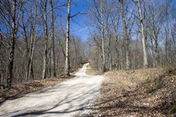 property photo for Chestnut Oak Ridge Tract 29, 8.08 acres for sale in Rockcastle County, Kentucky