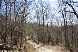 property photo for Chestnut Oak Ridge Tract 29, 8.08 acres for sale in Rockcastle County, Kentucky