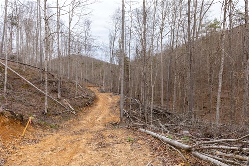 Creek Hollow Phase I Tract 14