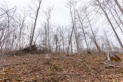 Creek Hollow Phase I Tract 14