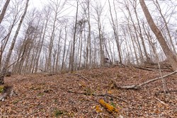 Creek Hollow Phase I Tract 14