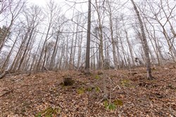 Creek Hollow Phase I Tract 14