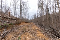 Creek Hollow Phase I Tract 14