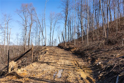 Creek Hollow Phase I Tract 16