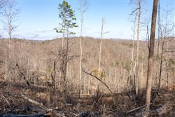 Creek Hollow Phase I Tract 16
