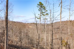 Creek Hollow Phase I Tract 16