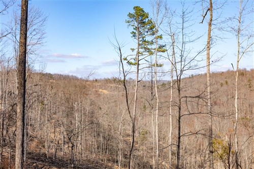 Creek Hollow Phase I Tract 16