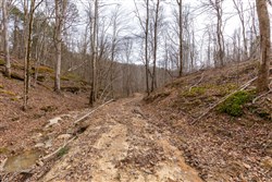 Creek Hollow Phase I Tract 16
