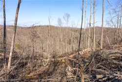 Creek Hollow Phase I Tract 16