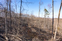Creek Hollow Phase I Tract 16